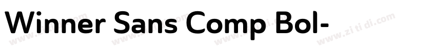 Winner Sans Comp Bol字体转换